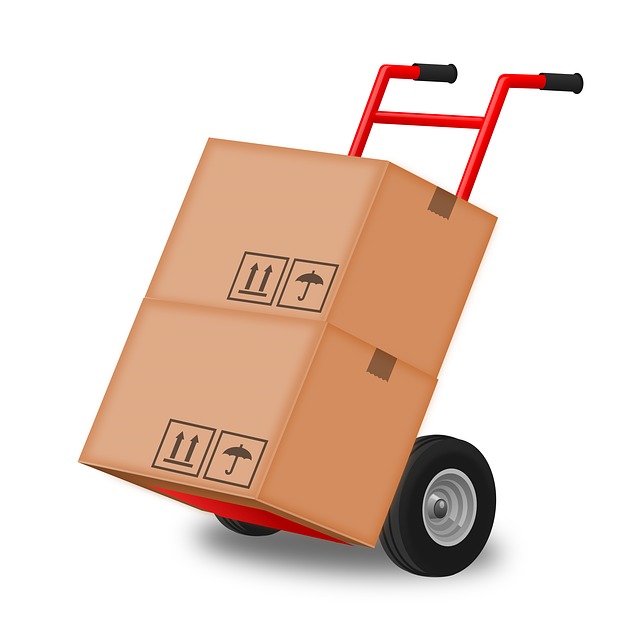 Tips For Hiring An International Removal Company